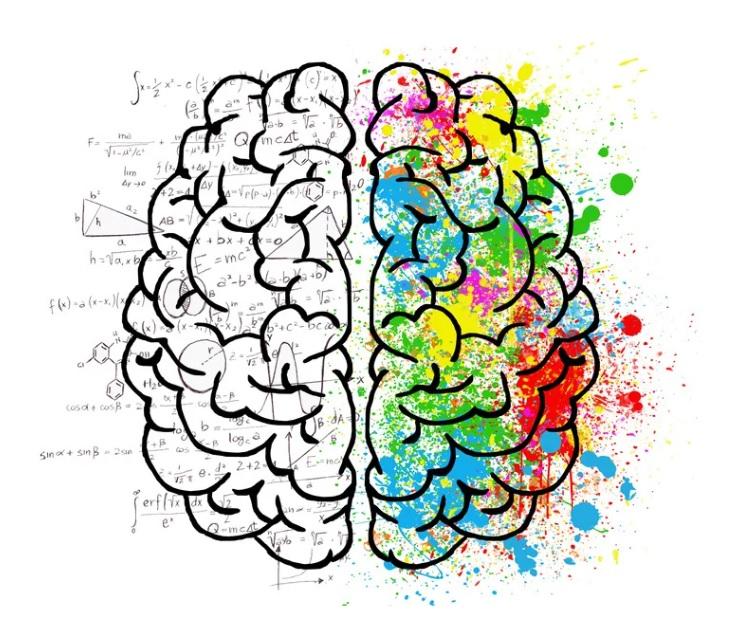 A brain drawing with colorful paint splatters

Description automatically generated